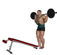 Lunge - Barbell Decline Forward Static